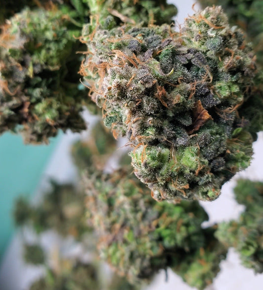 Purple Punch Indica Δ8THC